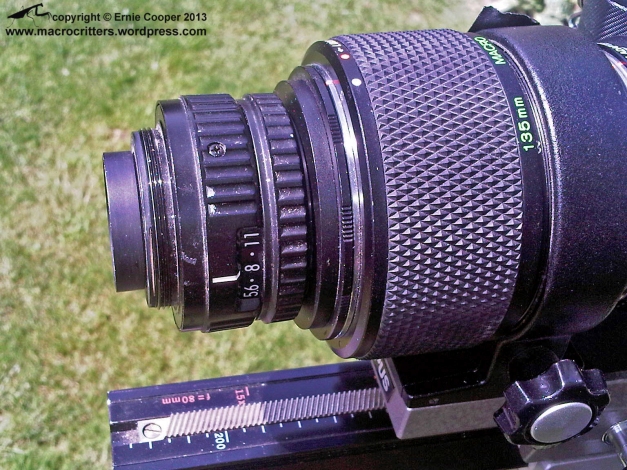 Nikkor 50mm F2.8 enlarger lens reversed and mounted (using adapters) on an Olympus telescopic auto extension tube 65-116